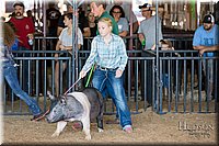 LCFAIR17-3966.jpg