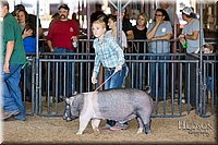 LCFAIR17-3968.jpg