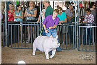 LCFAIR17-3969.jpg