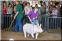 LCFAIR17-3970.jpg