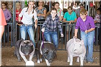 LCFAIR17-3971.jpg