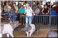 LCFAIR17-3972.jpg