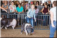 LCFAIR17-3974.jpg