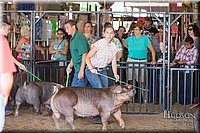 LCFAIR17-3975.jpg