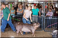 LCFAIR17-3976.jpg