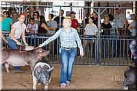 LCFAIR17-3977.jpg
