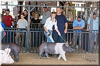 LCFAIR17-3979.jpg