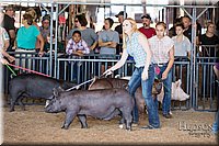 LCFAIR17-3980.jpg