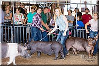 LCFAIR17-3981.jpg