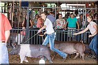 LCFAIR17-3982.jpg