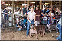 LCFAIR17-3983.jpg