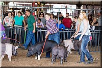 LCFAIR17-3984.jpg