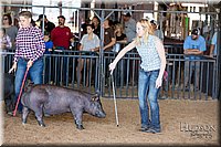 LCFAIR17-3986.jpg