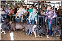 LCFAIR17-3987.jpg