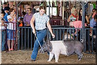 LCFAIR17-3991.jpg