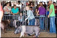 LCFAIR17-3992.jpg