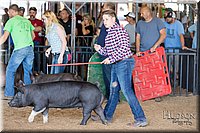 LCFAIR17-3993.jpg
