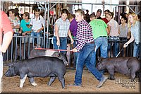 LCFAIR17-3994.jpg