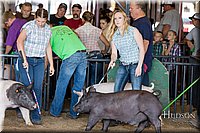 LCFAIR17-3995.jpg