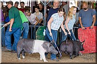 LCFAIR17-3997.jpg