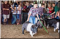 LCFAIR17-3998.jpg