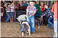 LCFAIR17-3999.jpg