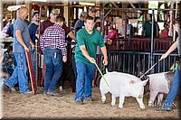 LCFAIR17-4000.jpg
