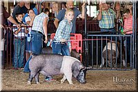 LCFAIR17-4002.jpg