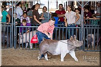 LCFAIR17-4004.jpg