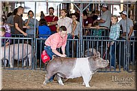 LCFAIR17-4005.jpg