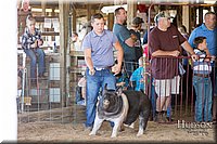 LCFAIR17-4006.jpg