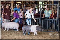 LCFAIR17-4007.jpg