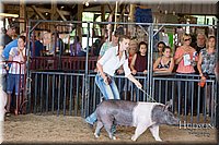 LCFAIR17-4008.jpg