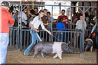 LCFAIR17-4009.jpg