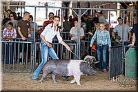 LCFAIR17-4010.jpg