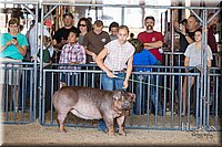 LCFAIR17-4012.jpg