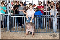 LCFAIR17-4014.jpg
