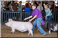 LCFAIR17-4016.jpg
