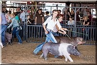 LCFAIR17-4017.jpg