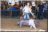 LCFAIR17-4018.jpg