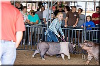 LCFAIR17-4019.jpg