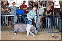 LCFAIR17-4021.jpg