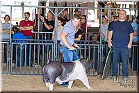LCFAIR17-4023.jpg