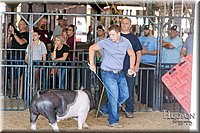 LCFAIR17-4024.jpg