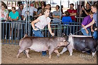 LCFAIR17-4026.jpg