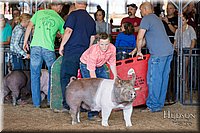 LCFAIR17-4027.jpg