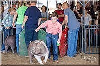 LCFAIR17-4028.jpg