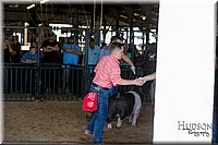 LCFAIR17-4035.jpg
