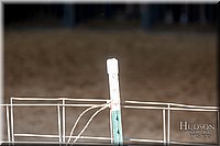 LCFAIR17-4036.jpg
