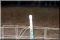 LCFAIR17-4037.jpg